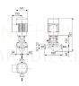 Cirkuliacinis siurblys Grundfos TP 25-50/2R 180 230V