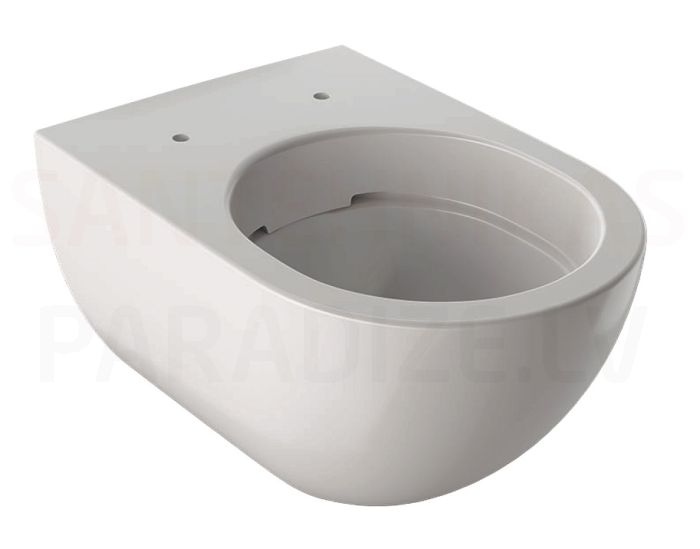 Keramag WC pakabinamas tualetas Acanto Rimfree 350x510 mm be klozeto dangčio