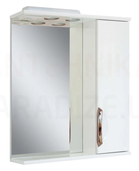 AQUALINE spoguļskapītis PREMIUM PLUS  60 R