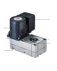 Thermoflux granulu padeves motors 5.4 RPM FBH-20 (Ecologic)