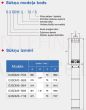 ECOCENT G3SDM5-58/6-I dziļurbuma sūknis 1.1kW 1.5HP 78mm ar 10m kabeli