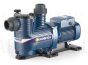 Pedrollo swimming pool pump MAGNIFICA 5M 2.2kW 230V