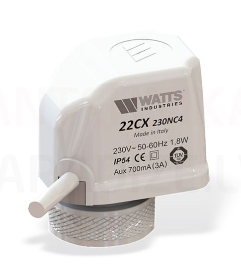 WATTS electrothermal actuator 22CX 24V