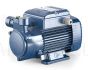 Pedrollo PQ 81-PRO ūdens sūknis 0.45kW 400V