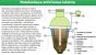 BUITEKA sewage treatment plant with NVB-1 compressor (inlet depth 0.7m)