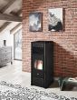 EVA CALOR pellet fireplace-stove GEMMA 15.4kW (black)