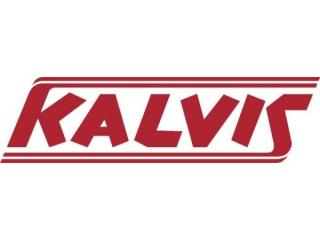 Котлы–плиты центрального отопительные KALVIS